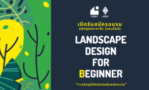 Landscape Design for Beginner