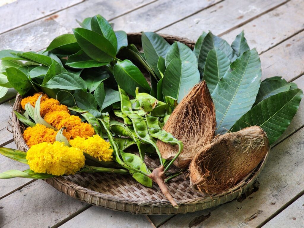 โครงการศึกษาการย้อมผ้าด้วยพันธุ์พืชในสวนสมรมและแนวทางการพัฒนาสู่ผลิตภัณฑ์เชิงเศรษฐกิจสร้างสรรค์