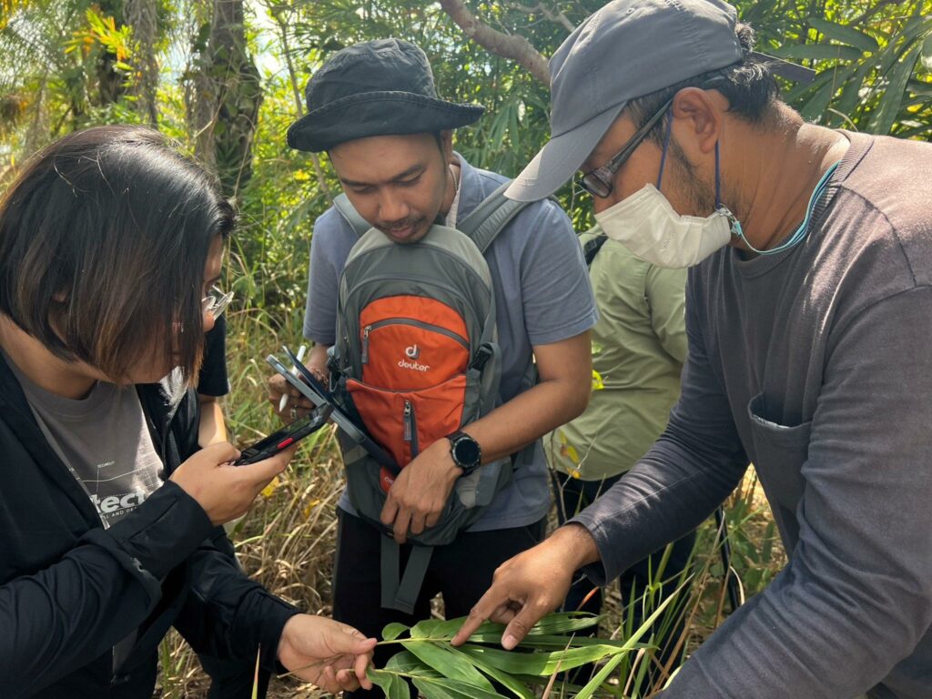 ชื่อโครงการวิจัย การศึกษาลักษณะความผันแปรของลาไผ่เพื่อการใช้ประโยชน์ในงานก่อสร้างอาคาร กรณีศึกษาไผ่ในภาคใต้ ​