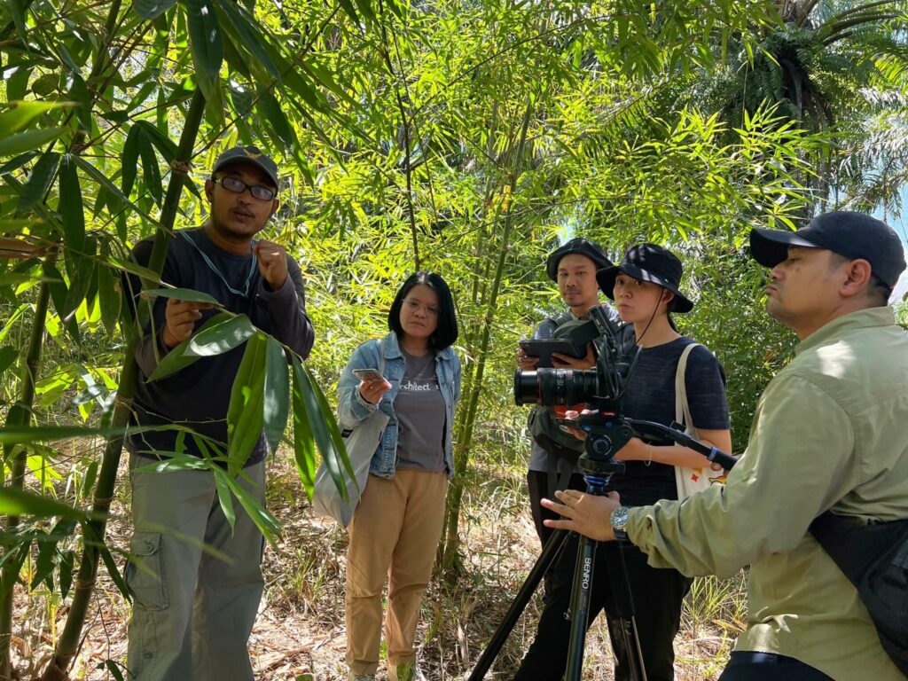 ชื่อโครงการวิจัย การศึกษาลักษณะความผันแปรของลาไผ่เพื่อการใช้ประโยชน์ในงานก่อสร้างอาคาร กรณีศึกษาไผ่ในภาคใต้ ​