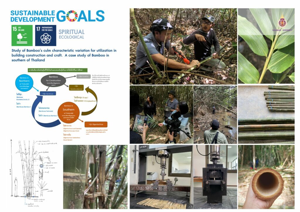 ชื่อโครงการวิจัย การศึกษาลักษณะความผันแปรของลาไผ่เพื่อการใช้ประโยชน์ในงานก่อสร้างอาคาร กรณีศึกษาไผ่ในภาคใต้